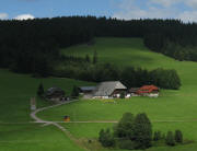Blick nach Nordenosten zum Zipfelhannesenhof am 1.9.2010