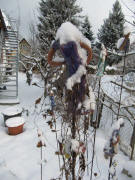 "Blumenfrau in Blau" am 12.2.2010 - Kopf schnee-verh�llt