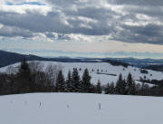 Blick vom Hörnle oberhalb Gersbach nach Süden übers Ried zu den Alpen am 21.2.2010
