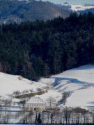 Tele-Blick vom Immi-Hochsitz am 4.1.2010 nach Nordosten zu Bickenreute