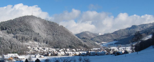 Blick vom Moosbachhof am 2.1.2010 nach Norden auf Buchenbach