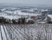 Blick von der Erentrudiskapelle nach S�dwesten zum Golfplatz Tuniberg am 16.2.2010: Schnee bei -4 Grad