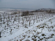 Blick nach Nordwesten auf Niederrimsingen am 16.2.2010