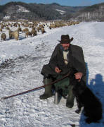 Blick nach Nordwesten im Dreisamtal: Sch�fer J�rgen Lange mit Prinz am 2.1.2010