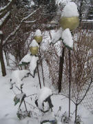 Drei Goldene Kugeln im Schnee am 15.1.2010