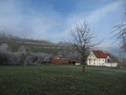 Blick nach Nordwesten zum Tritschlershof und Immi am 20.1.2010 um 15 Uhr - Raureif und Nebel