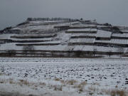 Blick nach Norden zum Winklerberg am 12.1.2010 - Schneefall bei -5 Grad