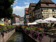 Colmar 28.7.2010: Blumen �berall, auch am Bach