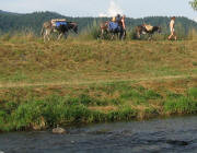 Eselwanderung an der Dreisam 11.7.2010