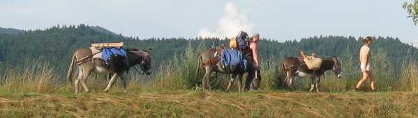 Eselwanderung an der Dreisam 11.7.2010