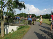 Eselwanderung an der Dreisam 11.7.2010 Brunnensteg beim Wasserwerk