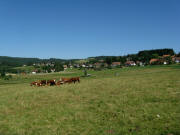 Blick nach Westen in Richtung Stehle und S�ge am 7.7.2010