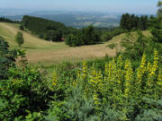 Blick von Hornberg nach S�dwesten auf Schopfheim am 7.7.2010