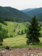 Blick nach Westen �ber M�nsterhalden am 8.7.2010