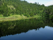 Nonnenmattweiher am 8.7.2010: Blick nach Westen - Badestrand links