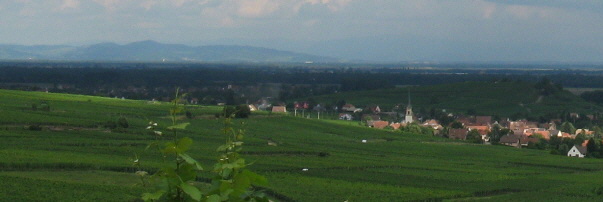 Blick �ber Pfaffenheim in der Abendsonne am 3.8.2010 nach Osten zum Kaiserstuhl