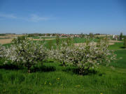 Blick nach Norden auf Blansingen am 28.4.2010