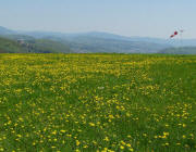 Blick nach Norden zur Burgruinen R�tteln (links) und �ber L�rrach am 28.4.2010
