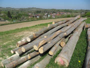 Blick nach Nordwesten - von Broggingen kommend - �ber Ettenheimweiler zum Heubergturm am 24.4.2010