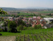 Blick vom Steinberg nach S�den �ber Herbolzheim nach Kenzingen am 24.4.2010