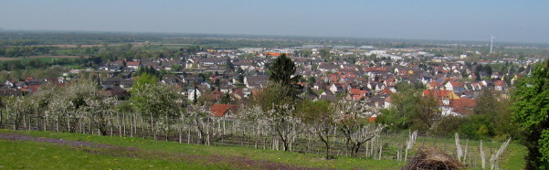 Blick vom Steinberg nach Westen �ber Herbolzheim am 24.4.2010