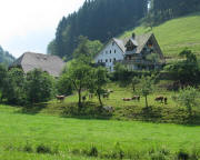 Blick nach Osten zum Hinterbauernhof am 29.6.2010 - vor Gewitter