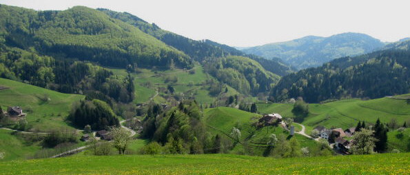 Blick von Hohenegg nach Osten �ber Buck auf Holl im Kleinen Wiesental am 29.4.2010