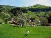 Blick nach Osten zum Gasthaus Hirschen in Holl am 29.4.2010