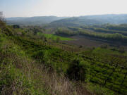 Blick vom Hummelberg  nach Norden �ber Nordweiler Wein bis Blichheim am 24.4.2010