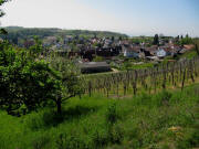 Blick nach S�den �ber Huttingen am 28.4.2010