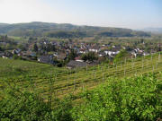 Blick vom Niederberg nach S�dten �ber Kenzingen am 24.4.2010 zum Forlenwald �ber Hecklingen