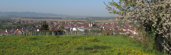 Blick vom Galgenbuck nach Westen �ber Kenzingen zum Kaiserstuhl am 24.4.2010&nbsp; 