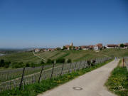 Blick �ber den H�henweg von Haltingen her nach Norden auf �tlingen am 28.4.2010