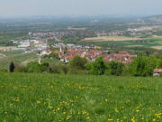 Tele-Blick nach Nordwesten �ber �tlingen zum Gewerbegebiet Haltingen am 28.4.2010