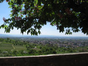 Blick von der �tlinger Kirche nach S�den �ber Haltingen am 28.4.2010