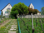 Blick nach Norden hoch zur  �tlinger Kirche am 28.4.2010