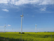 Zwischen Dresden und Mei�en am 6.5.2010