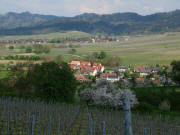 Tele-Blick nach Norden �ber Zunzingen und Britzingen zum Muggarther Rebh�usle am 27.4.2010