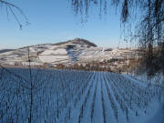 Blick von der Castellbergh�tte nach Norden zum Schlossberg am 4.12.2010