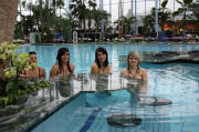 Vier Nixen am Pool im Badeparadies