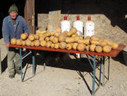 Altbauer Hug am Baldenweger Hof am 26.10.2010 - Butternuss-K�rbisse