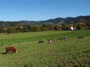 Blick von Burg-H�fen nach Osten �ber Burg-Birkenhof gen Buchenbach am 26.10.2010 - Thomashof rechts