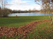 Blick nach Nordwesten zum Dietenbachsee am 13.11.2010