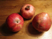 Granat�pfel aus der T�rkei am 30.12.2010