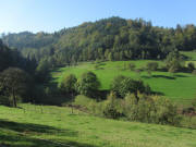 Blick vom Kern-Hof nach S�den zum Holzerhof am 12.10.2010