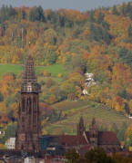 Jesuitenschloss am 4.11.2010: Tele-Blick nach Nordosten �ber das Freiburger M�nster zum Eichhalde-Weinberg in Herdern