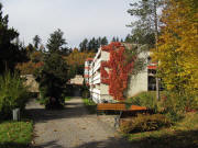 Blick nach Westen zum Johannisheim am 4.11.2010