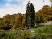 Blick nach Nordwesten im Kartausgarten am 4.11.2010