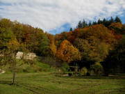 Blick nach Nordosten im Kartausgarten am 4.11.2010