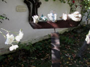 Fünf Tauben und weiße Rosen am 11.10.2010